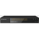 TSr-NV16242